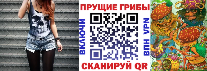 Купить где  Севастополь  Галлюциногенные грибы мицелий 